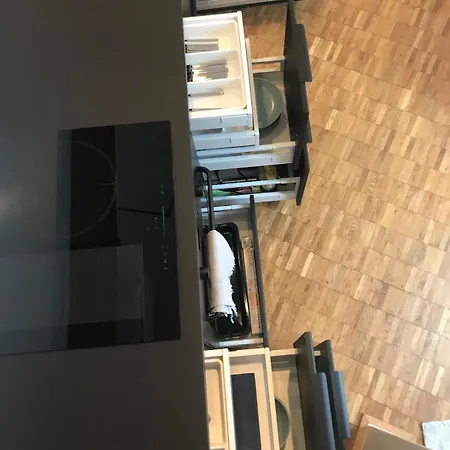 Fffina Home - Relax & Business Graz Apartment *